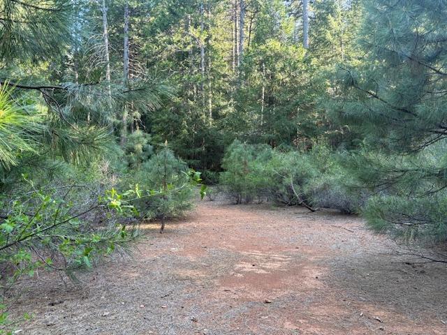 0 Double Rainbow Road Nevada City, CA 95959 - Photo 13 of 18 a view of a forest with trees in the background