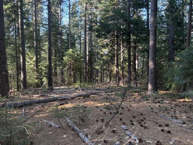 0 Double Rainbow Road Nevada City, CA 95959 - Photo 17 of 18 a view of a forest with trees in the background