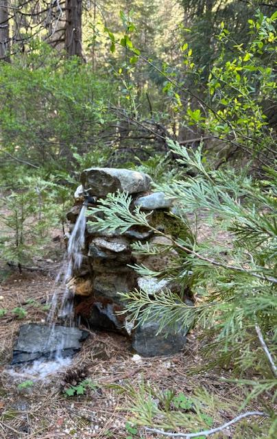 0 Double Rainbow Road Nevada City, CA 95959 - Photo 2 of 18 a backyard of a house with lots of green space