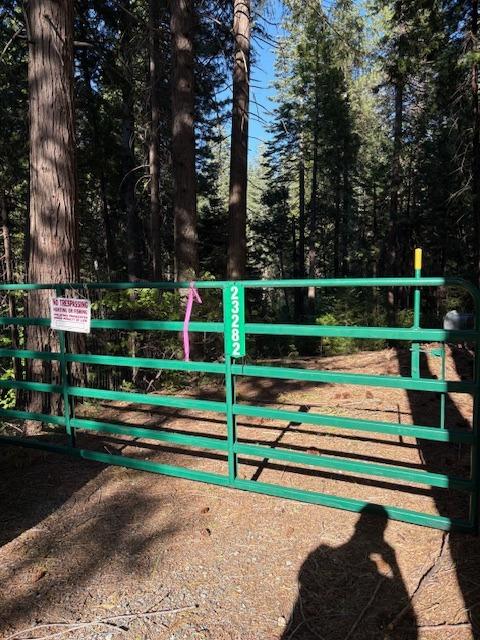0 Double Rainbow Road Nevada City, CA 95959 - Photo 3 of 18 a view of park benches