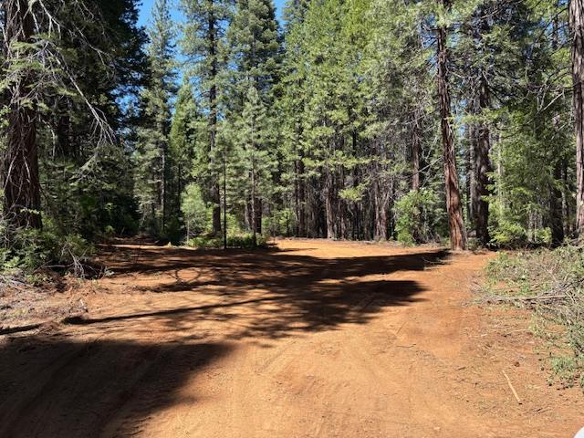 0 Double Rainbow Road Nevada City, CA 95959 - Photo 4 of 18 a view of large tree with yard