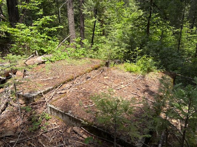0 Double Rainbow Road Nevada City, CA 95959 - Photo 5 of 18 a view of a yard with plants and large trees