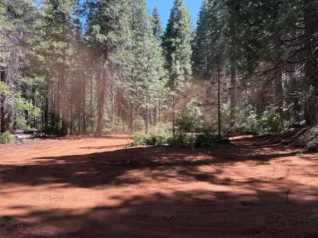 a view of dirt yard with trees