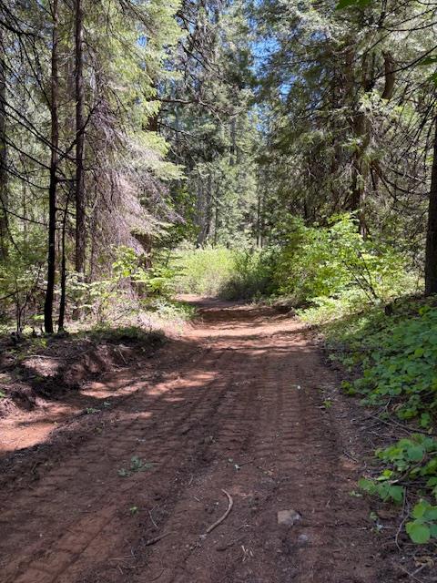 0 Double Rainbow Road Nevada City, CA 95959 - Photo 8 of 18 a view of a yard with plants and trees
