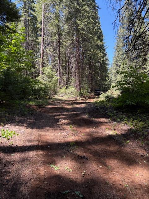 0 Double Rainbow Road Nevada City, CA 95959 - Photo 10 of 18 a view of a yard with green space