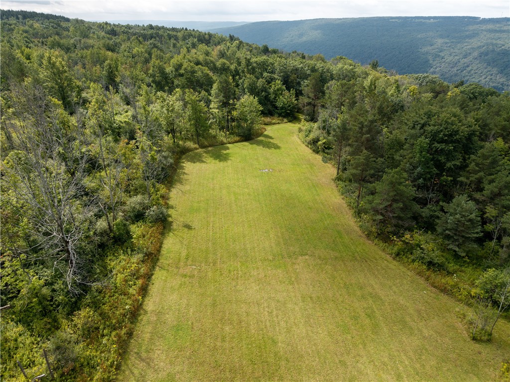 Old Bald Hill Road Hemlock, NY 14466 - Photo 5 of 16 Gallery Image 5
