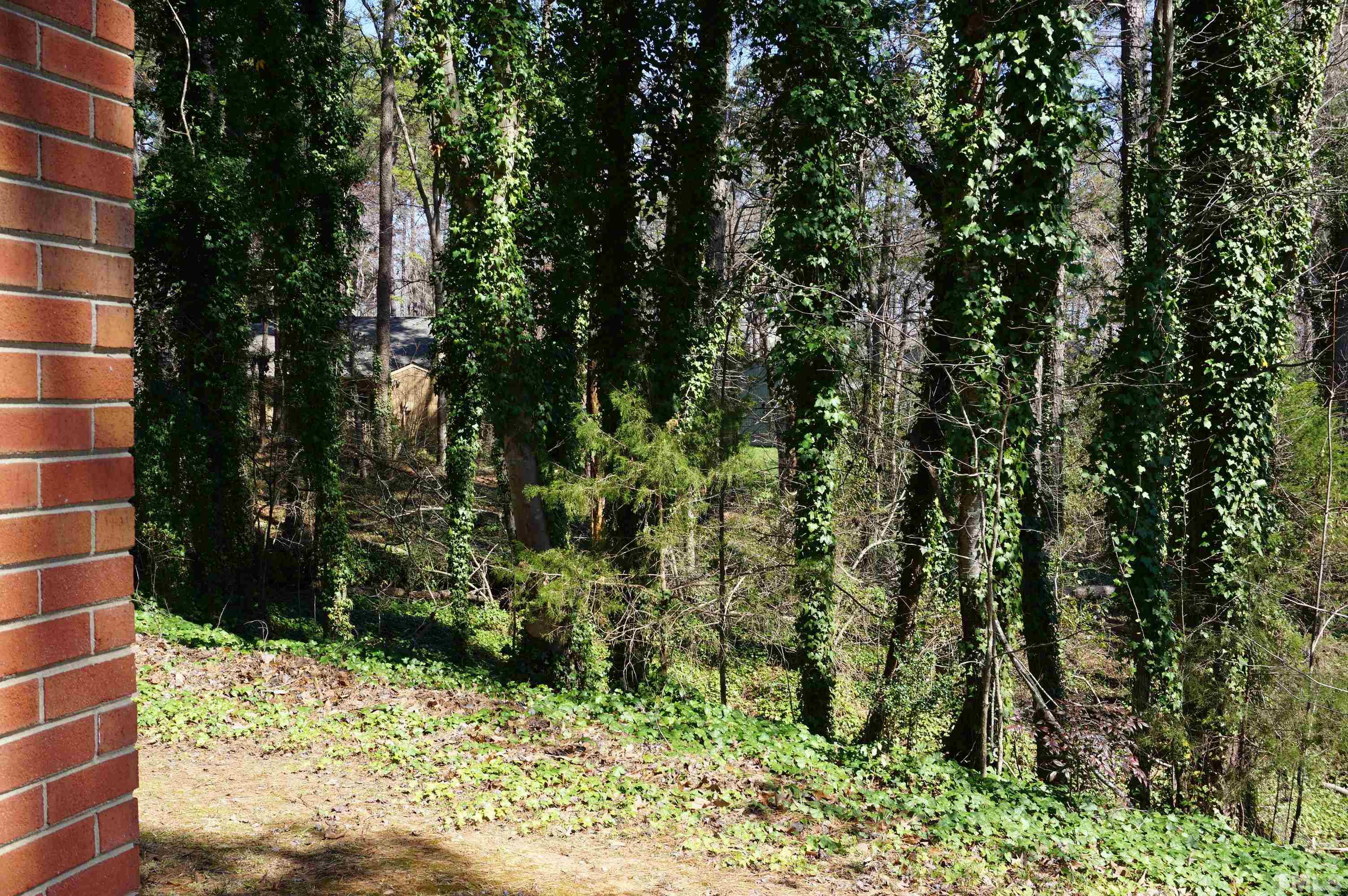 7804 Prospector Place Raleigh, NC 27615 - Photo 3 of 12 a view of a pathway of a building