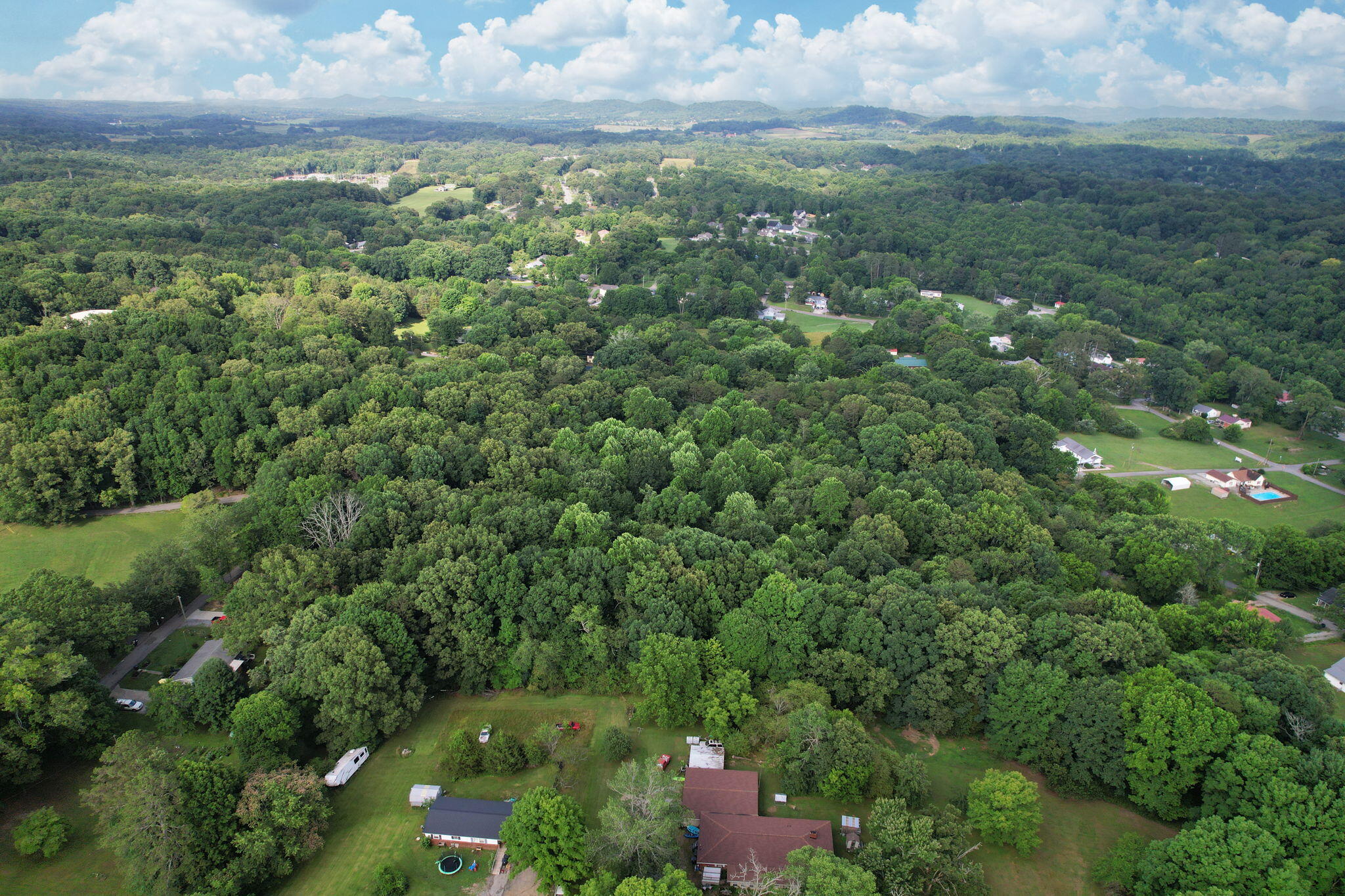 2-web-or-mls-DJI_0751