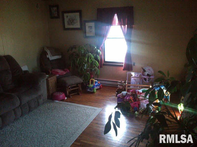 22160 Oak Hill Road Ewing, IL 62836 - Photo 3 of 19 Gallery Image 3
