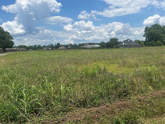 Lot 1 School House Road Alexandria, LA 71303 - Photo 4 of 5
