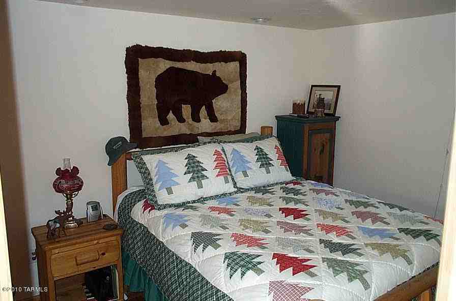12435 North Middle Sabino Road Mount Lemmon, AZ 85619 - Photo 7 of 18