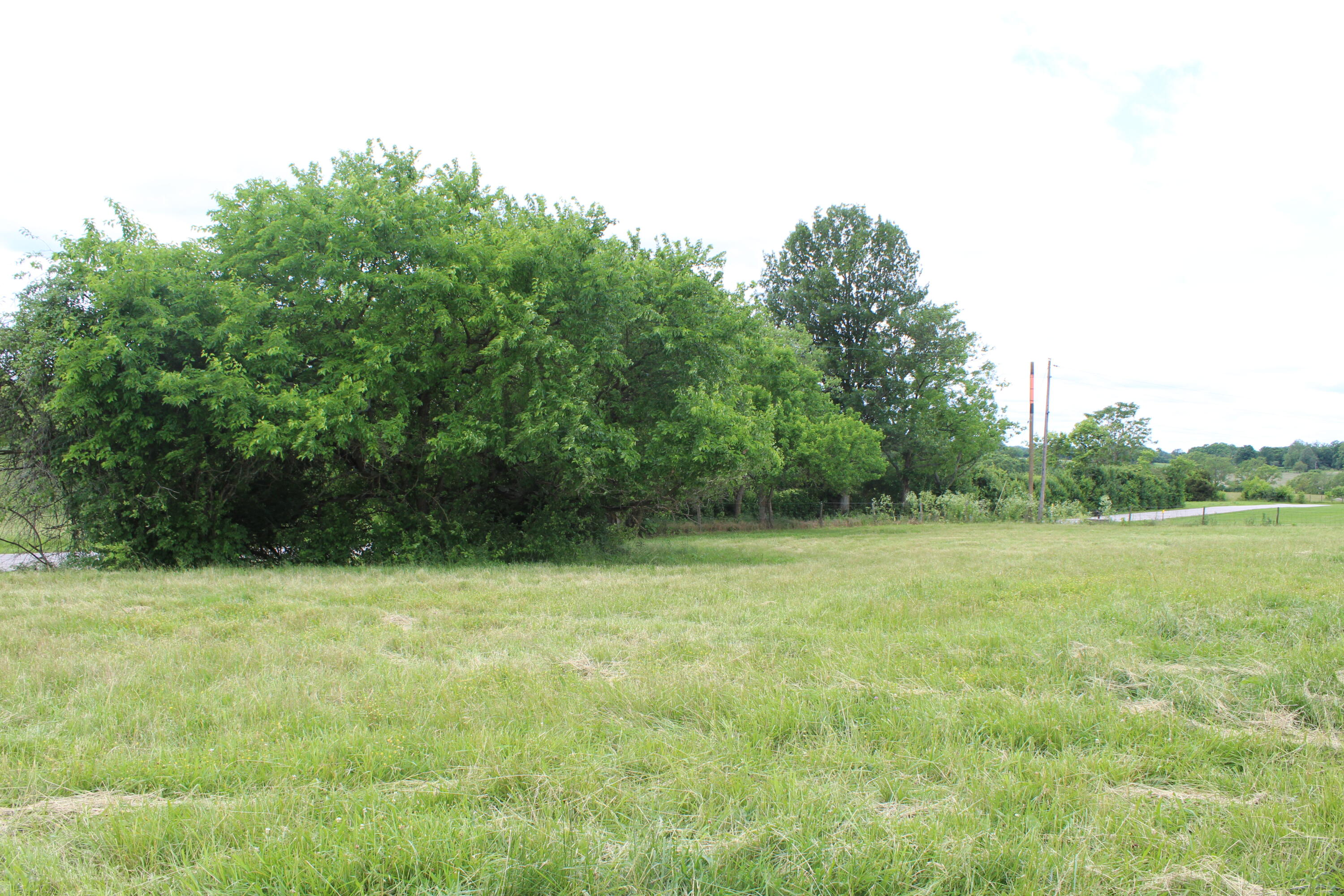 187 Jackstown Road Paris, KY 40361 - Photo 2 of 18 IMG_2777