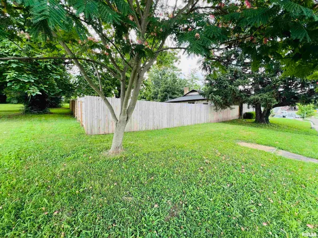 $145,000 | 385 3rd Street, Omaha, IL 62871