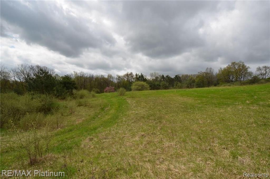 Parcel A Silverbell Road Rochester, MI 48306 - Photo 13 of 31