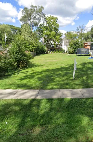 a view of a big yard with plants and large trees