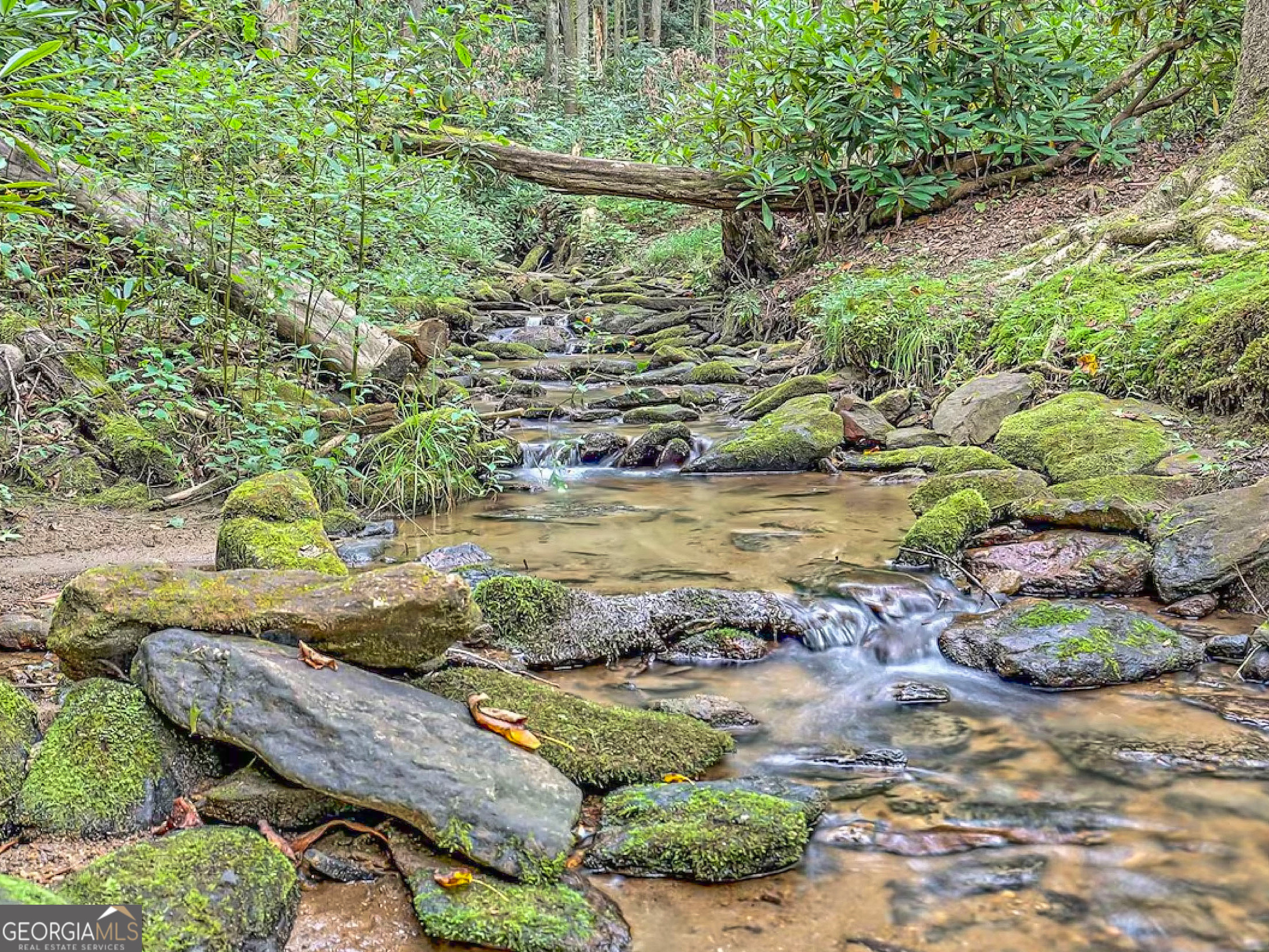 767 Driver Lane Dillard, GA 30537 - Photo 3 of 28