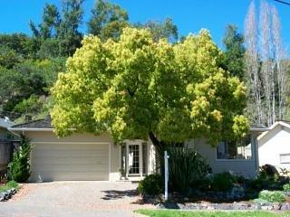 285 Irwin Street San Rafael, CA 94901 - Photo 1 of 1 front view of a house with a tree