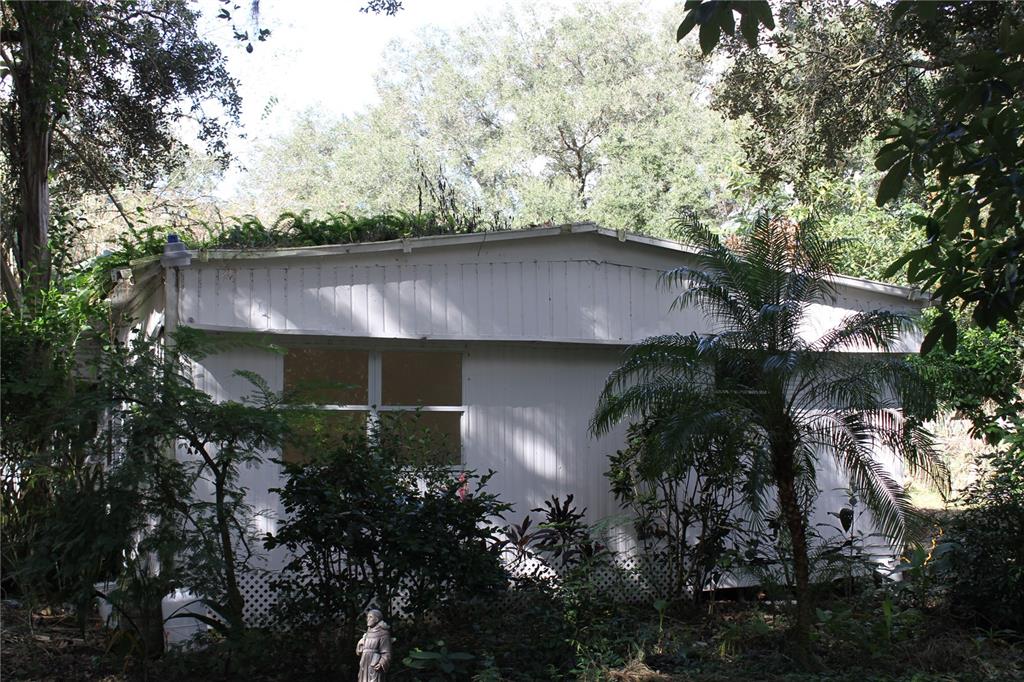 770 Snow Hill Road Geneva, FL 32732 - Photo 11 of 16 an outdoor space with plants and palm trees