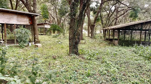 a view of backyard with green space