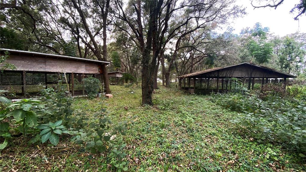 770 Snow Hill Road Geneva, FL 32732 - Photo 9 of 16 a backyard of a house with lots of green space