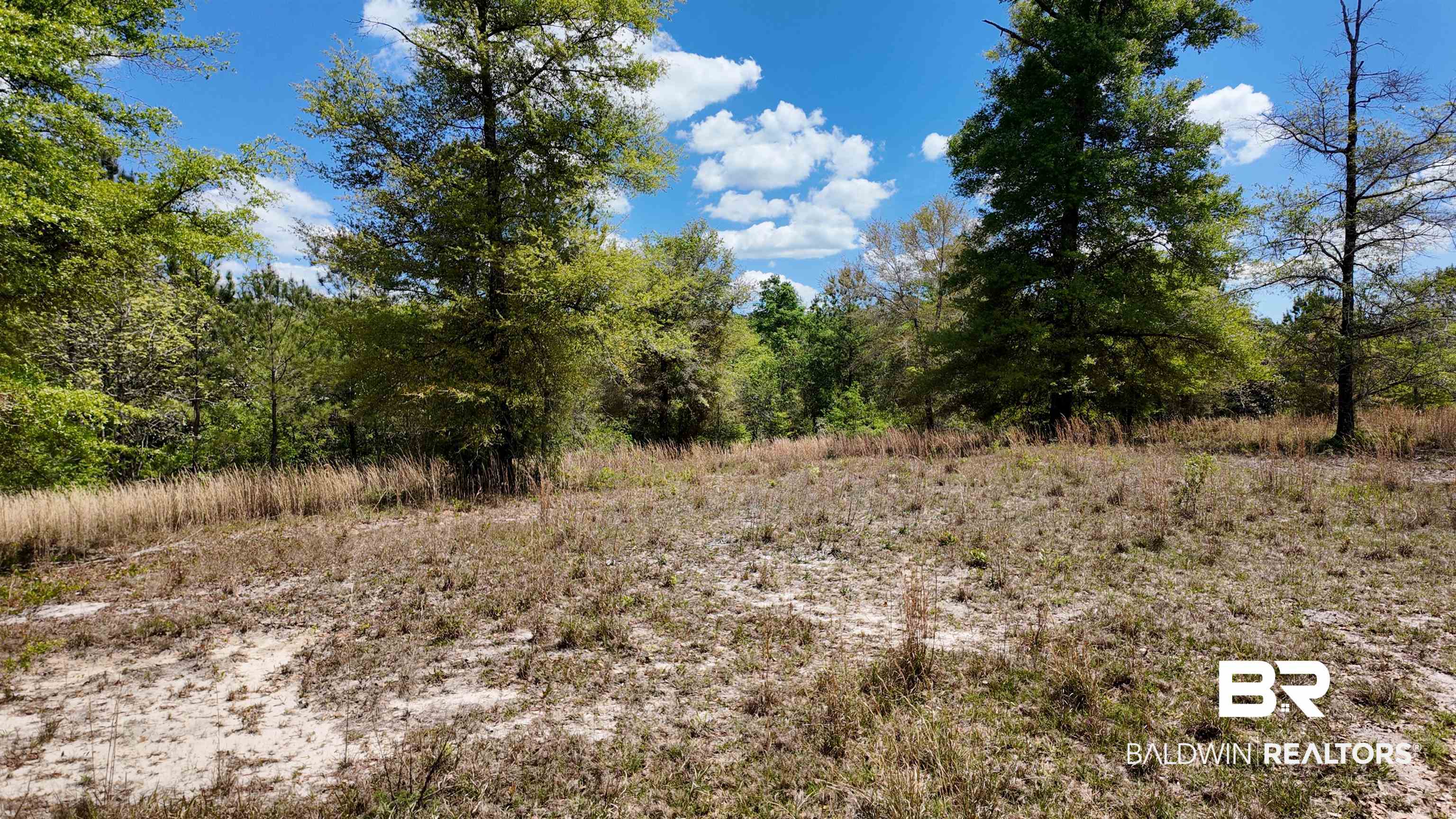 0 Powell Road Eight Mile, AL 36613 - Photo 36 of 57