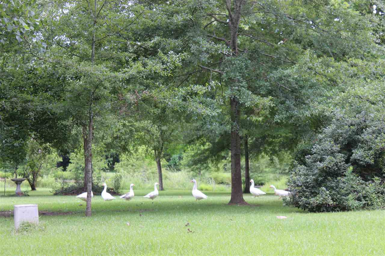 1195 Neil Collins Road Raymond, MS 39154 - Photo 16 of 21 Photo 16