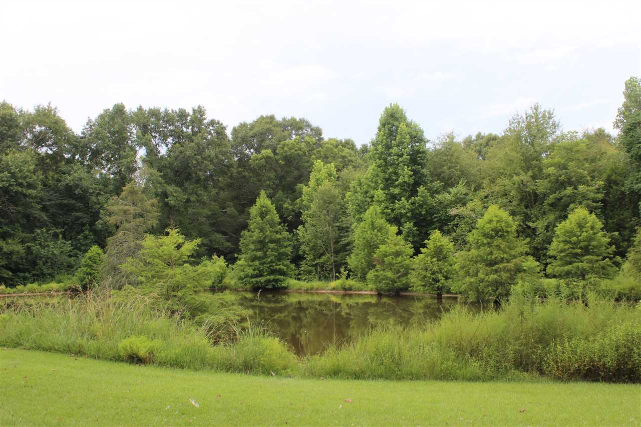 1195 Neil Collins Road Raymond, MS 39154 - Photo 18 of 21 Photo 18