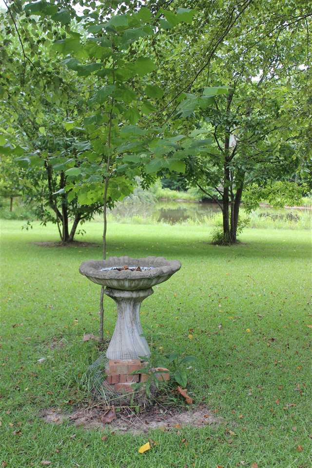 1195 Neil Collins Road Raymond, MS 39154 - Photo 19 of 21 Photo 19