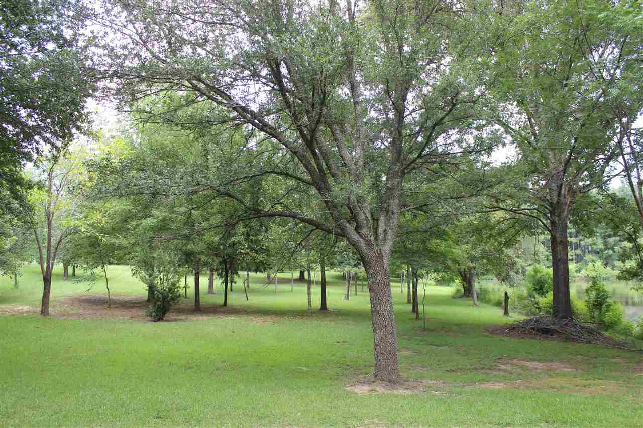 1195 Neil Collins Road Raymond, MS 39154 - Photo 3 of 21 Photo 3