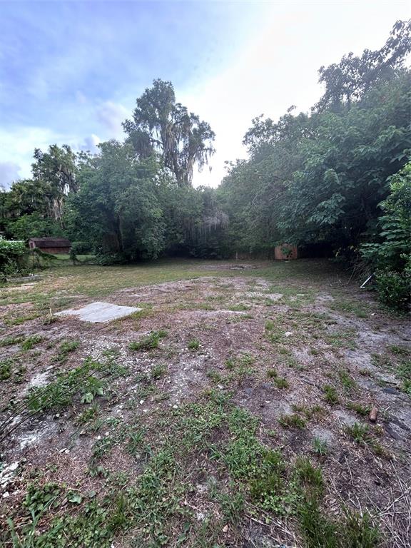 811 Merridale Avenue Leesburg, FL 34748 - Photo 18 of 19