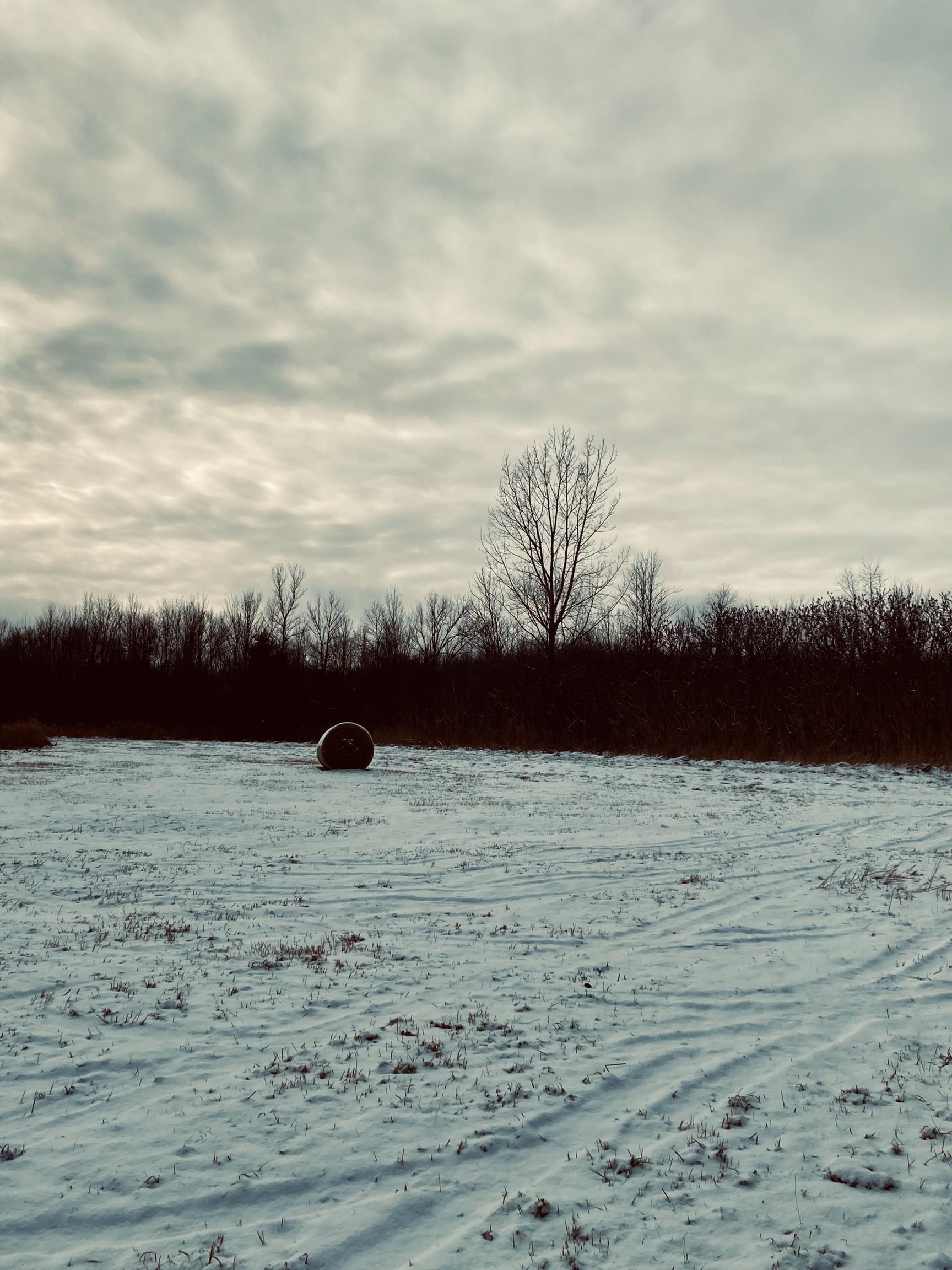 5-lot 5-lot Subdivision Off Viens Road, Unit 26 St. Albans, VT 05478 - Photo 3 of 8