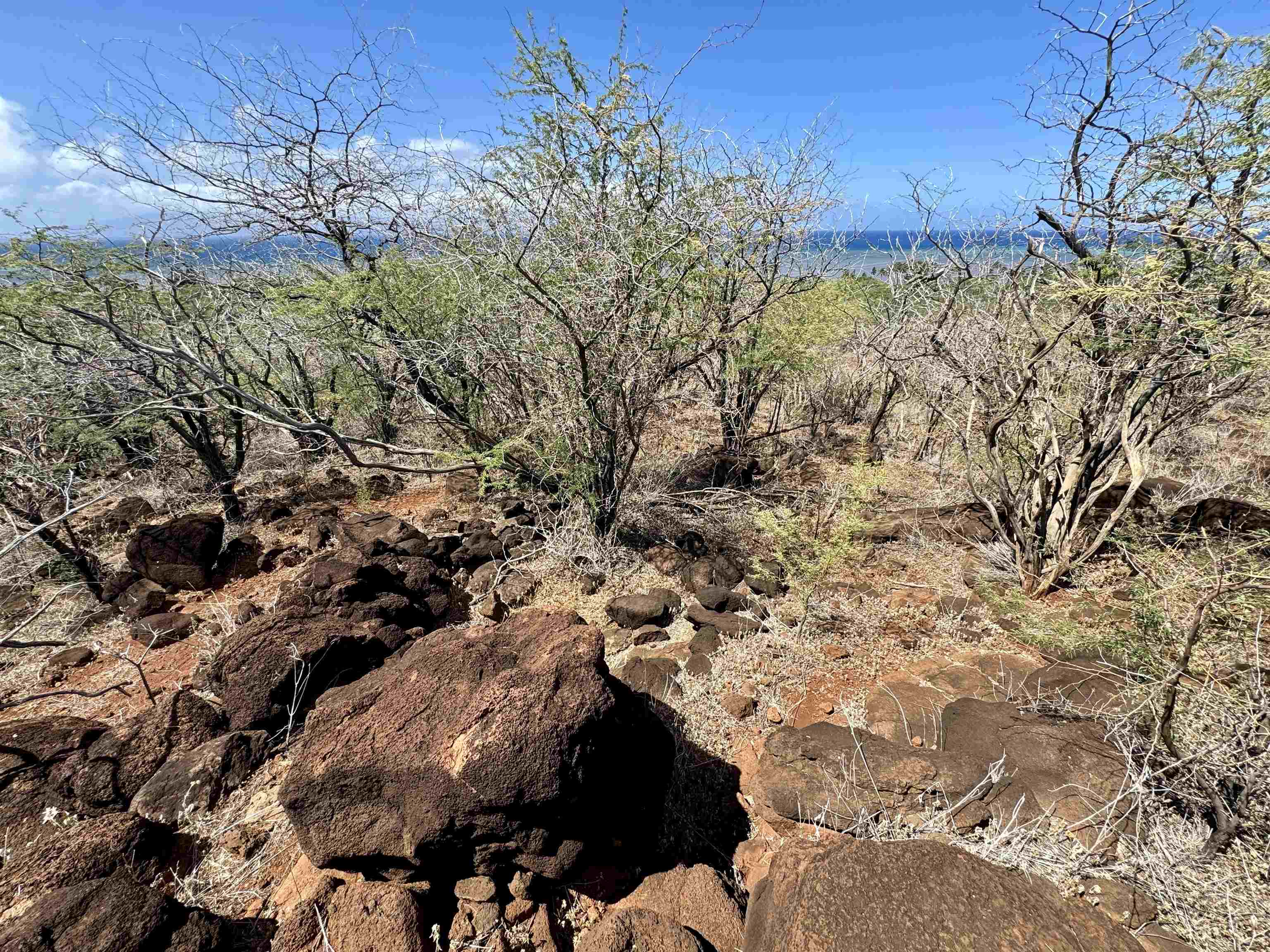 0 Uluanui Road, Unit 147 Kaunakakai, HI 96748 - Photo 11 of 25 a view of a field