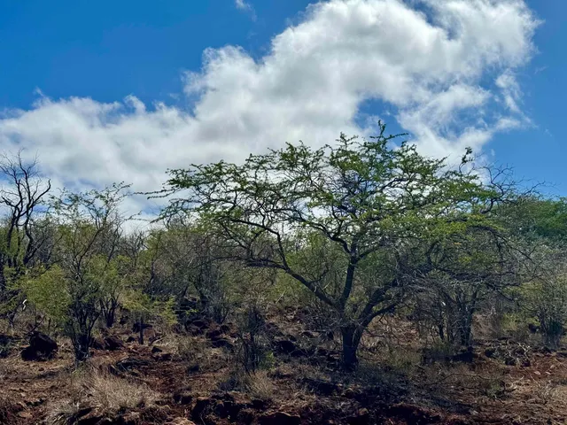 a view of a lake view
