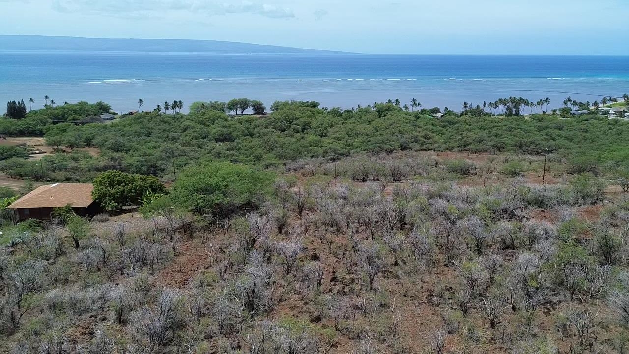 0 Uluanui Road, Unit 147 Kaunakakai, HI 96748 - Photo 22 of 25 a view of a green field with lots of trees in the background