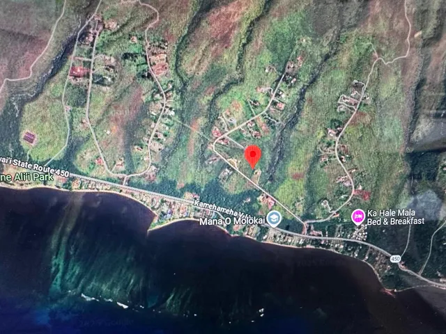 a view of street along with two and trees