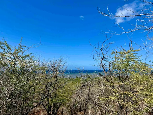 a view of a lot of a house and a yard