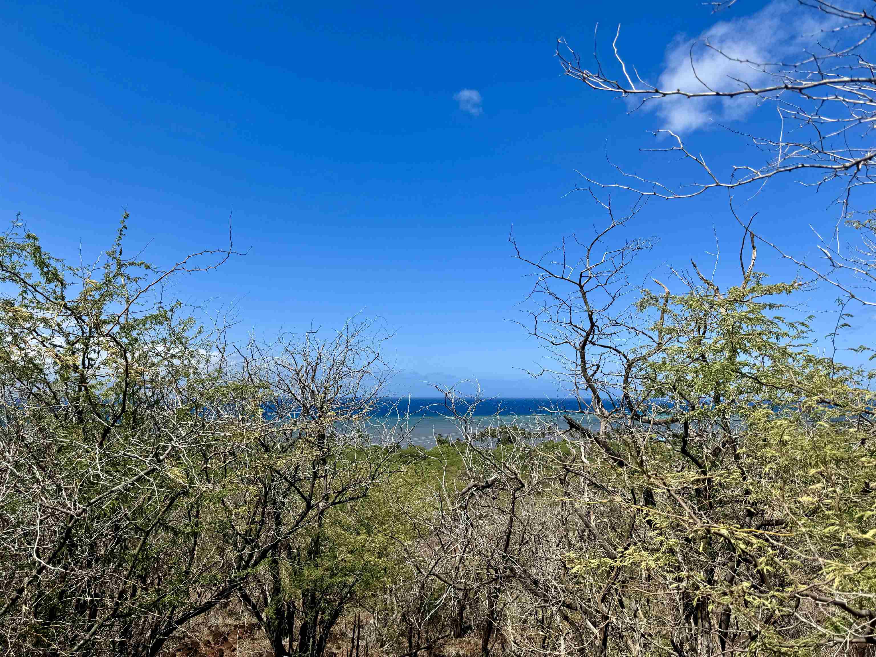 0 Uluanui Road, Unit 147 Kaunakakai, HI 96748 - Photo 6 of 25 a view of a backyard