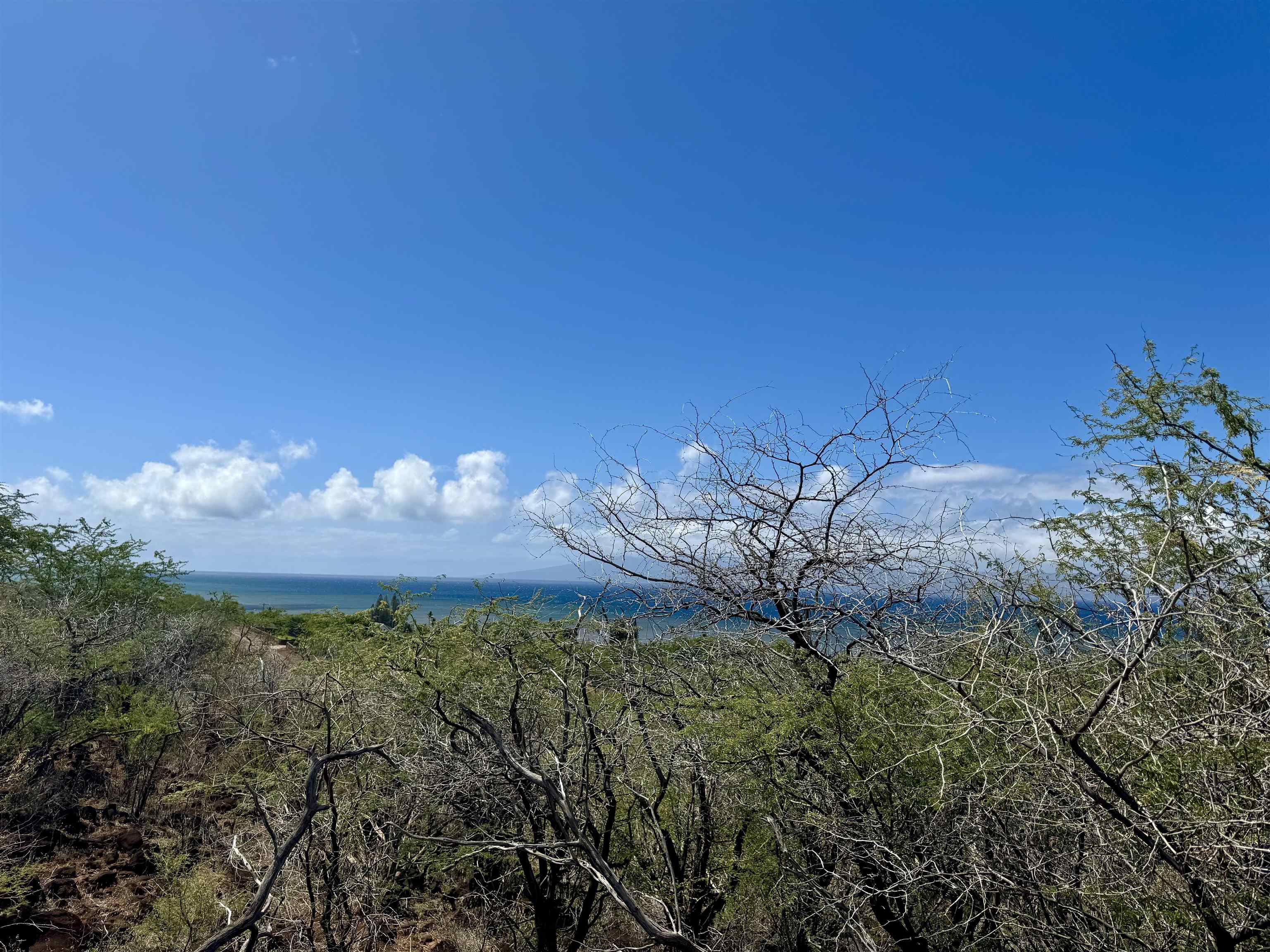 0 Uluanui Road, Unit 147 Kaunakakai, HI 96748 - Photo 7 of 25 a view of a lot of a house and a yard