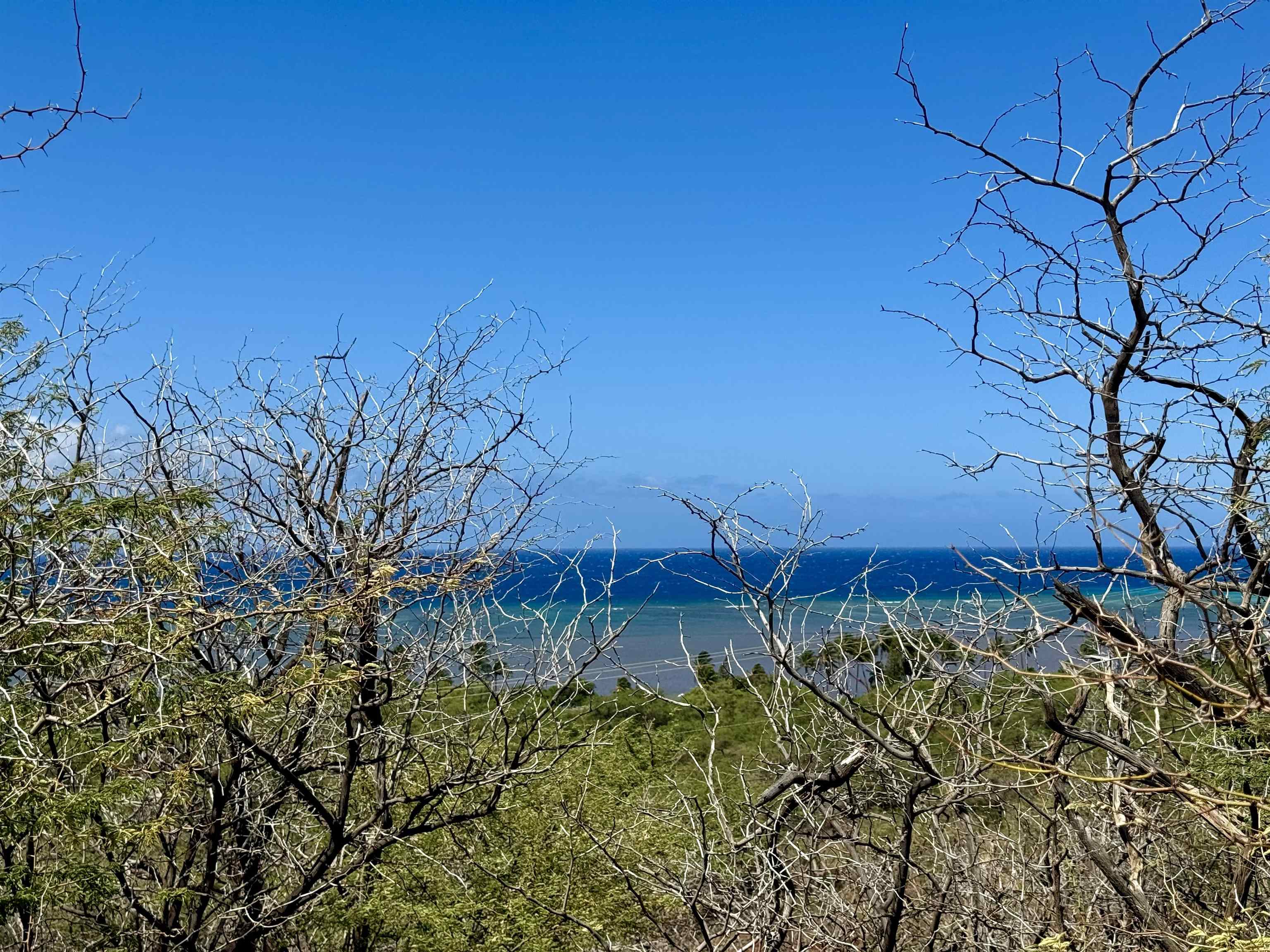 0 Uluanui Road, Unit 147 Kaunakakai, HI 96748 - Photo 8 of 25 a view of a garden
