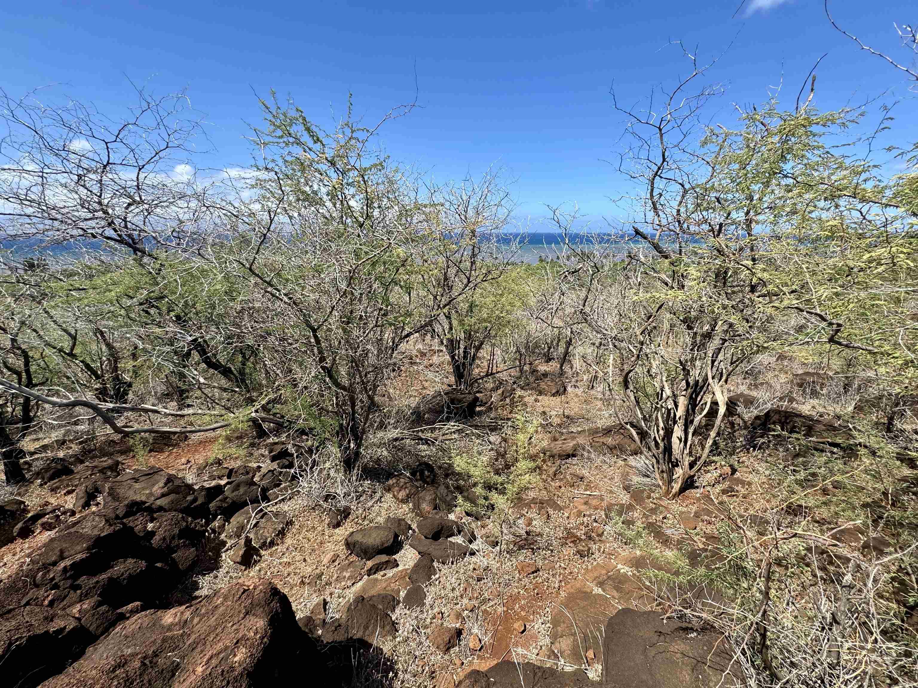 0 Uluanui Road, Unit 147 Kaunakakai, HI 96748 - Photo 9 of 25 a view of a yard