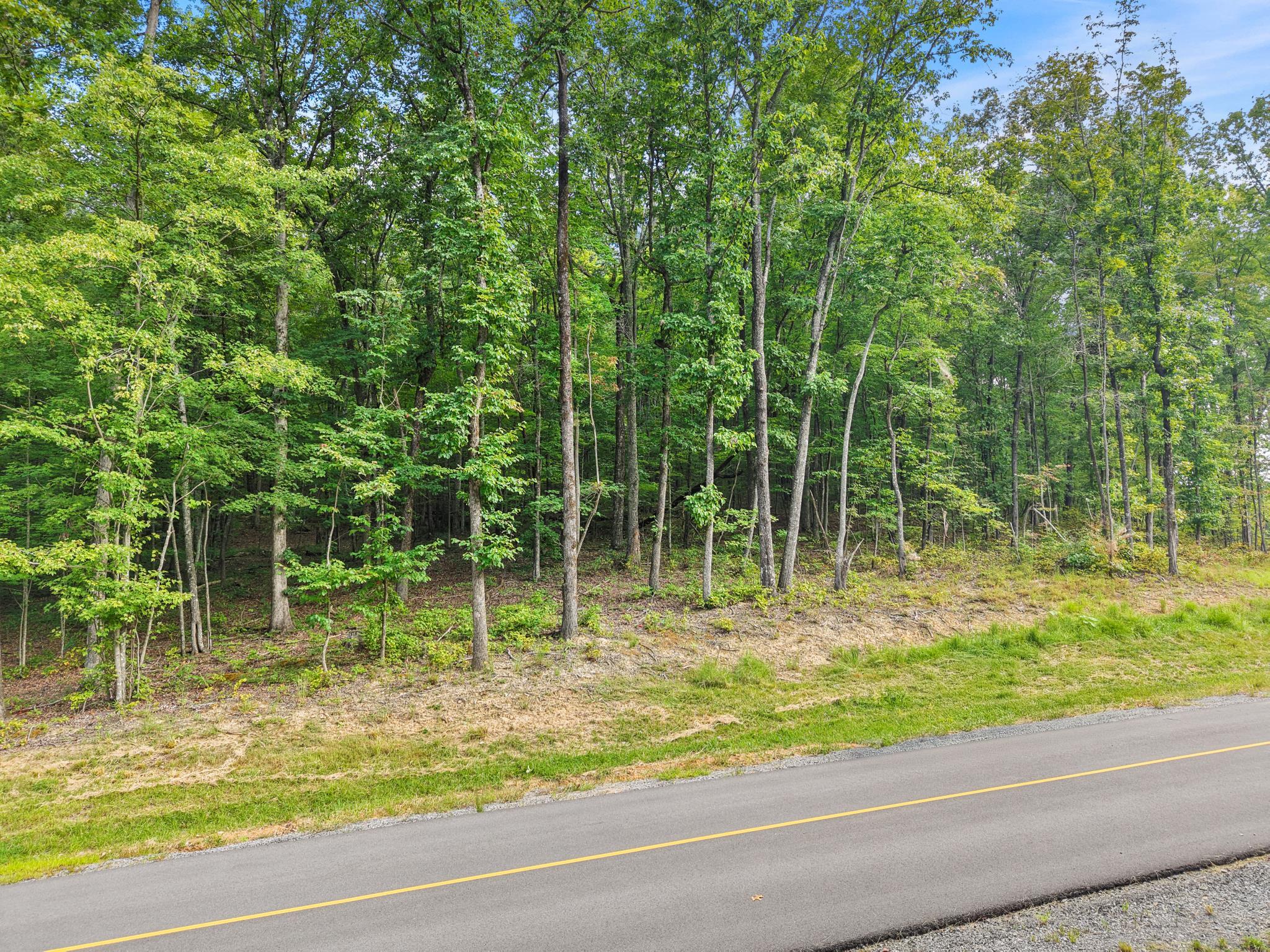 0 Summit Way, Unit 517 Jasper, TN 37347 - Photo 11 of 16 Summitt 12