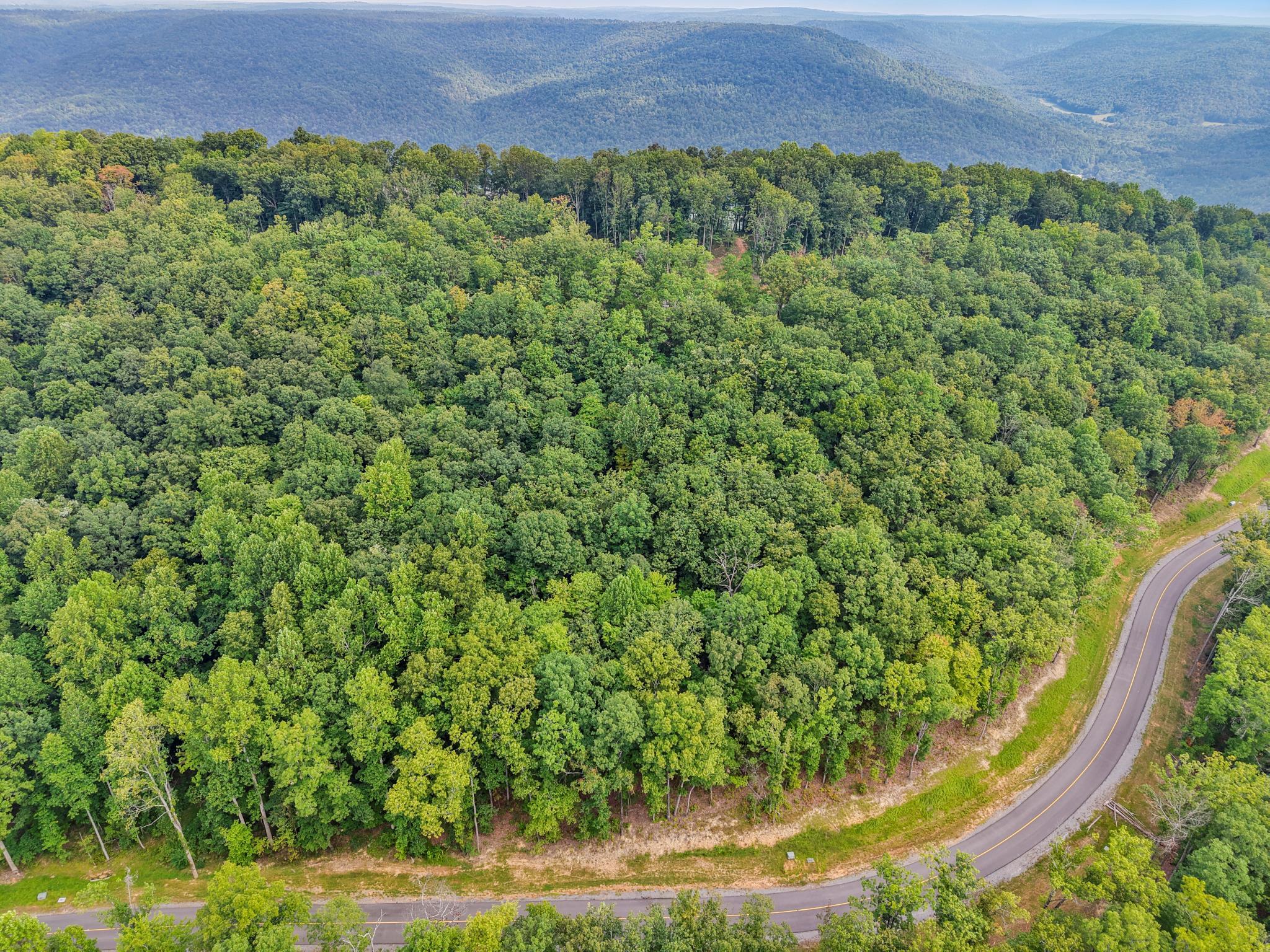 0 Summit Way, Unit 517 Jasper, TN 37347 - Photo 4 of 16 Summitt 3