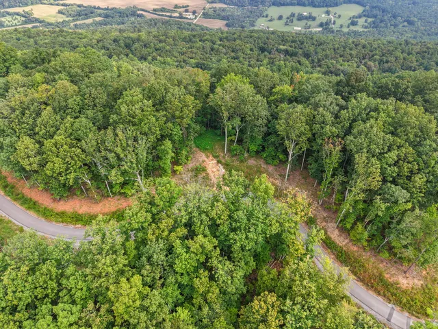 $299,000 | 0 Summit Way, Unit 517, Jasper, TN 37347