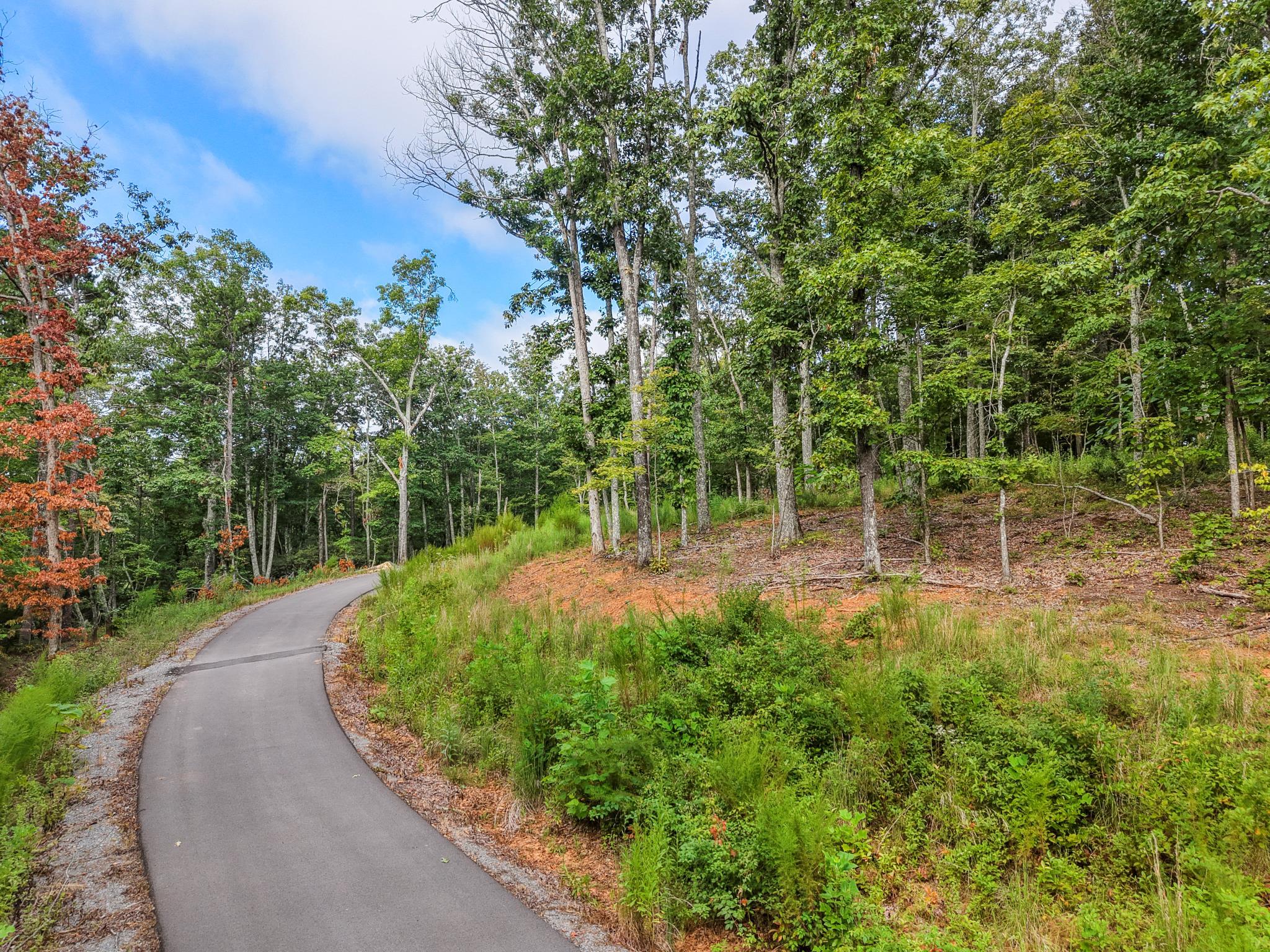 0 Summit Way, Unit 517 Jasper, TN 37347 - Photo 9 of 16 Summitt 10