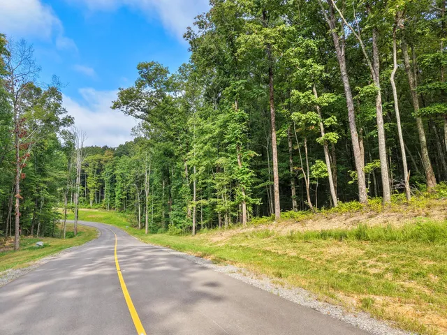 $299,000 | 0 Summit Way, Unit 517, Jasper, TN 37347