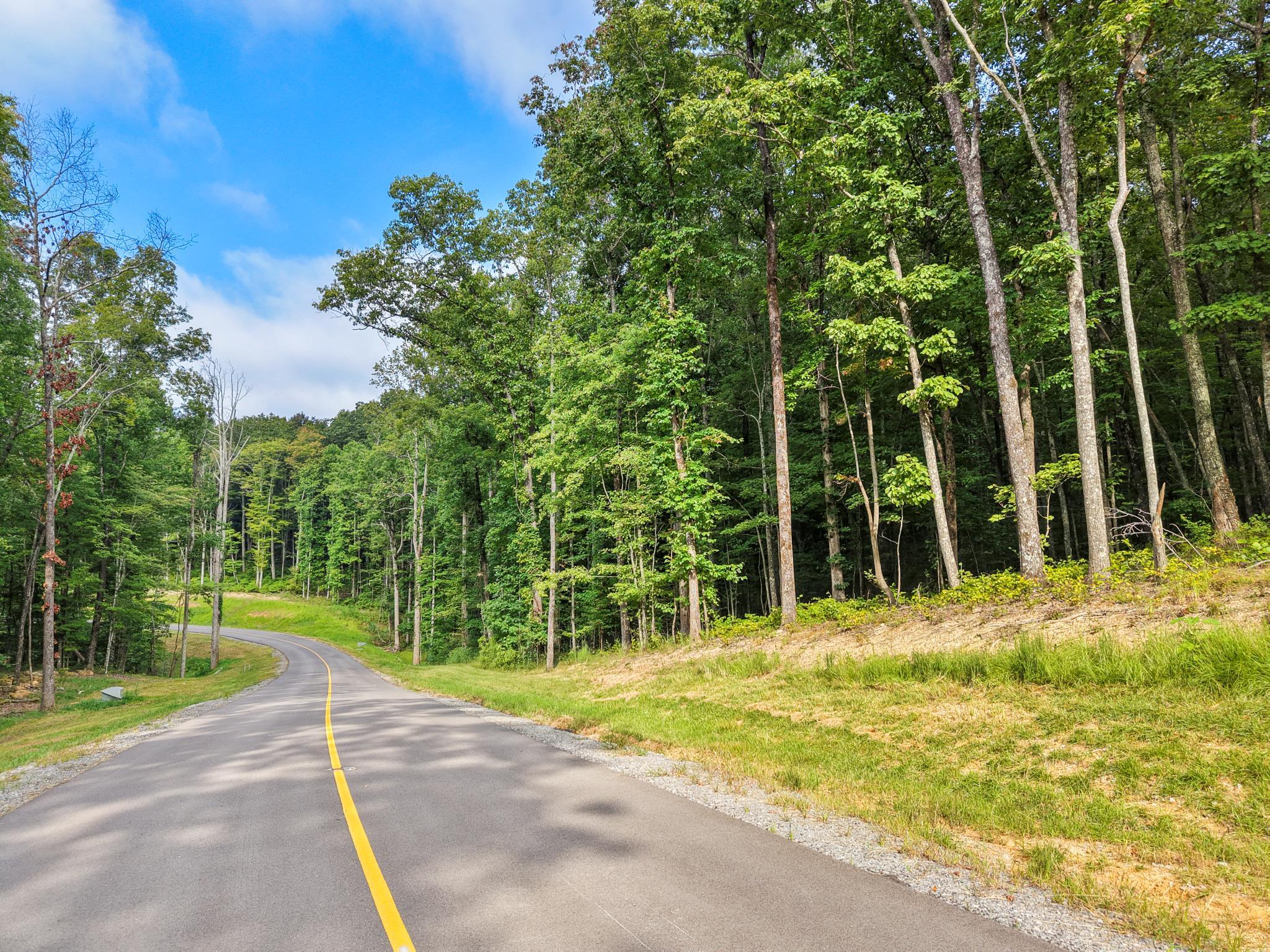 0 Summit Way, Unit 517 Jasper, TN 37347 - Photo 10 of 16 Summitt 11