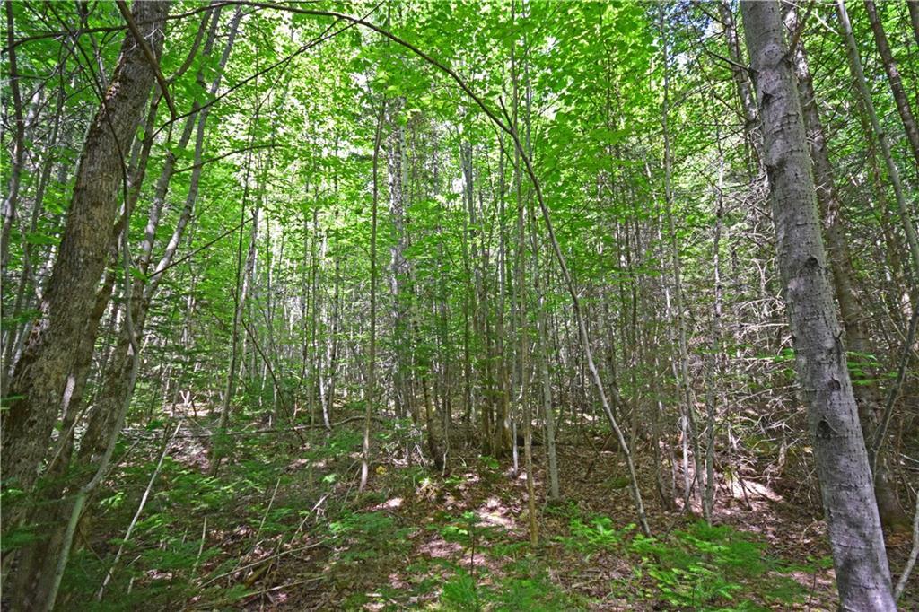 1 Ricker Road Carroll Plt, ME 04487 - Photo 11 of 14 Photo