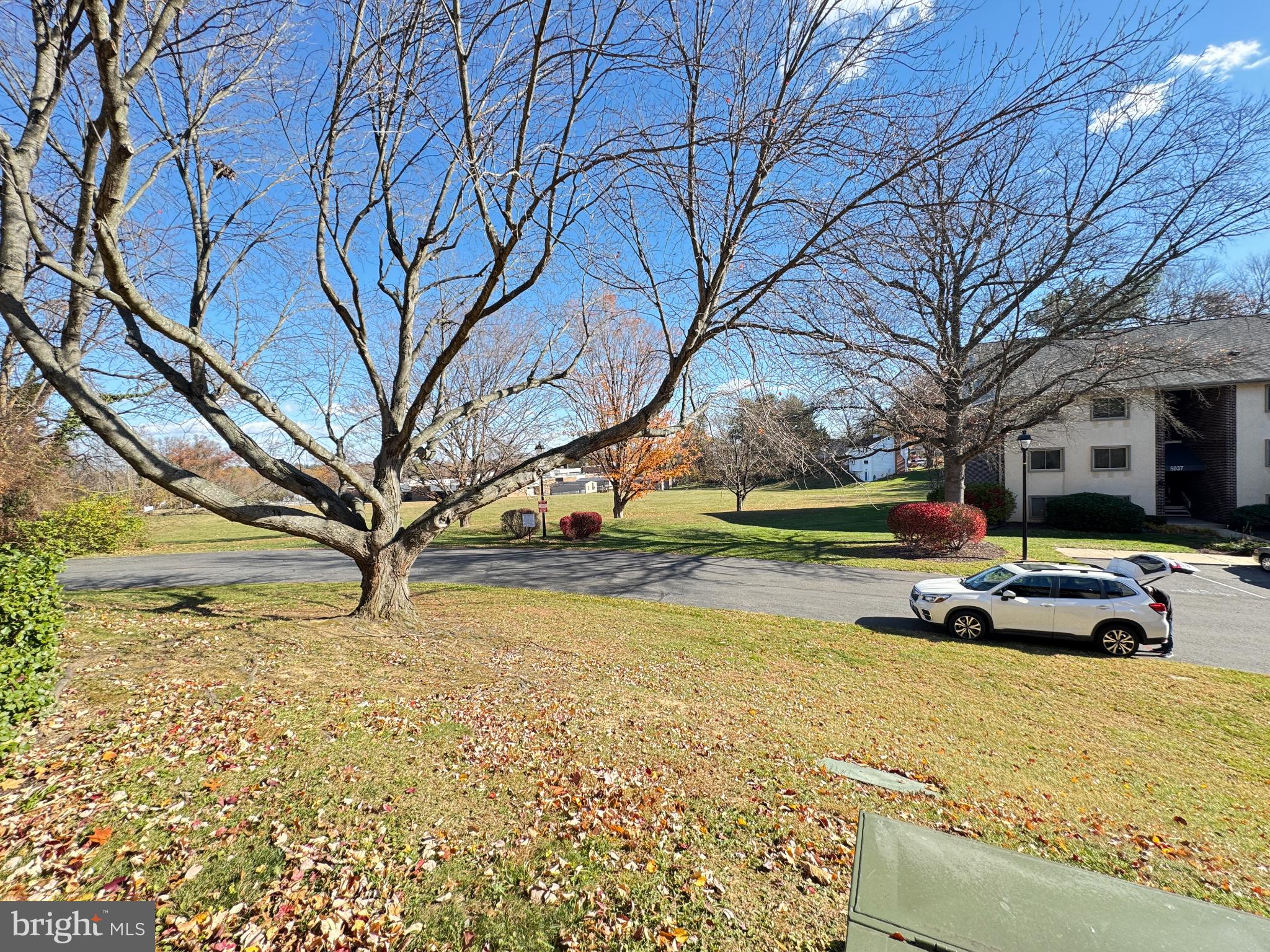 5033 Green Mountain Circle, Unit 2 Columbia, MD 21044 - Photo 35 of 40 Serene autumn view with bare trees.