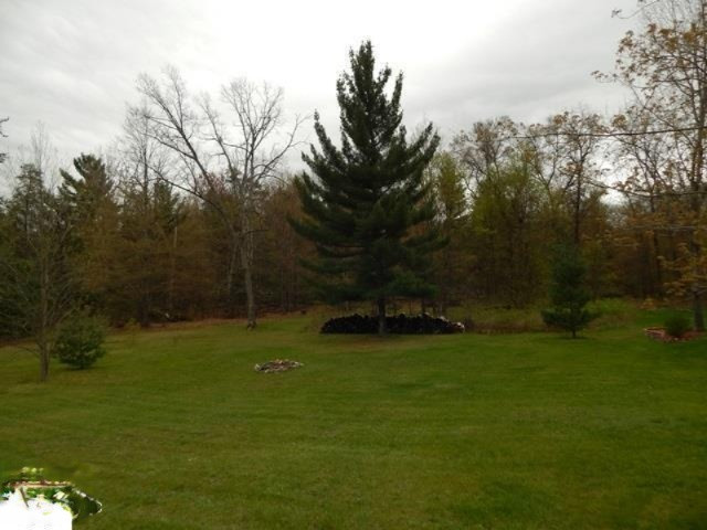1119 17 Mile Road Marion, MI 49665 - Photo 18 of 36 1861239-19