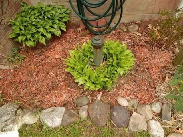 1119 17 Mile Road Marion, MI 49665 - Photo 23 of 36 1861239-26
